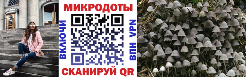 Псилоцибиновые грибы ЛСД  Купить где  Знаменск 